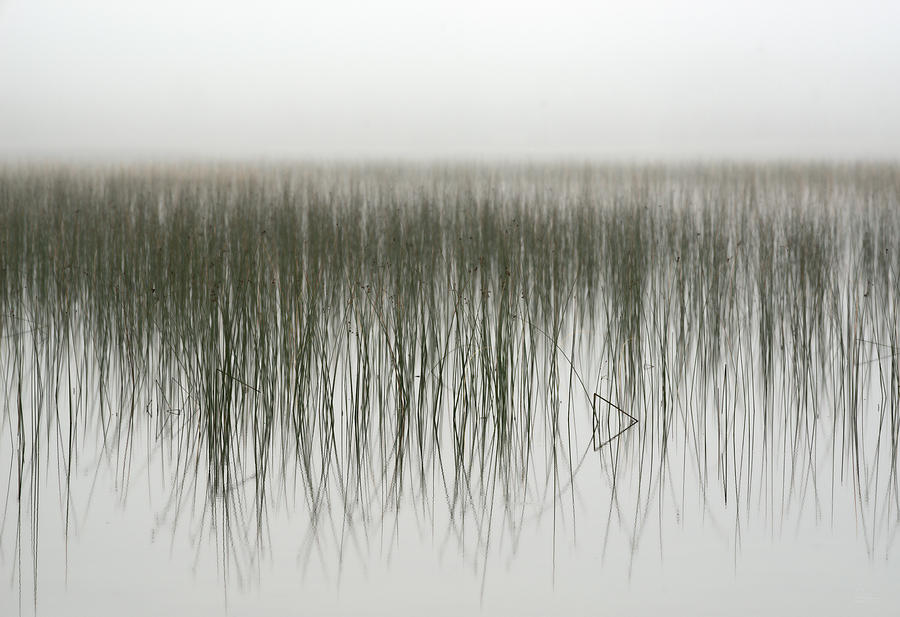 Rush Reflections #2 - Equilateral Triangle or PLAY button - foggy morning at Kangaroo Lake, WI Photograph by Peter Herman