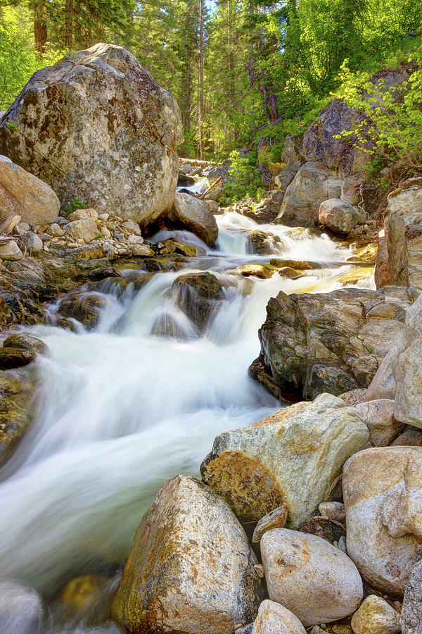 Rushing Alpine Waterfall By Payette Photograph by Anna Gorin