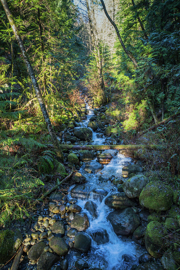 Rushing Water Of A Creek In The Cool Photograph by Sheila Haddad - Fine ...