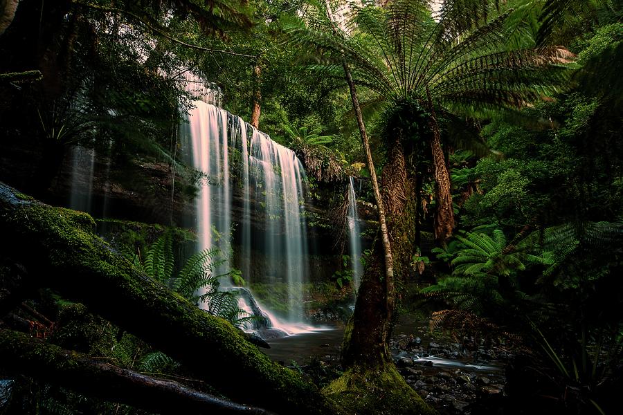 Russell Falls At Mt. Field National Park, Tasmania Photograph by Alfonso Calero