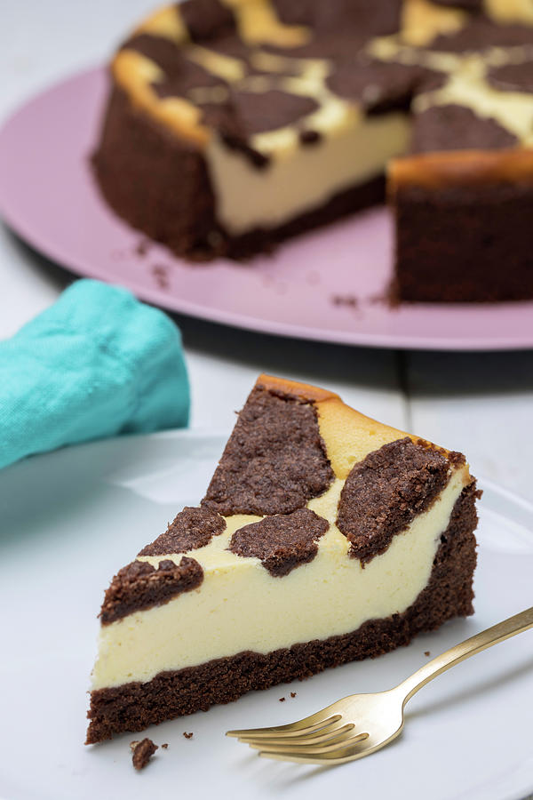 Russian Cheesecake With Chocolate Crust Photograph by Nils Melzer - Pixels