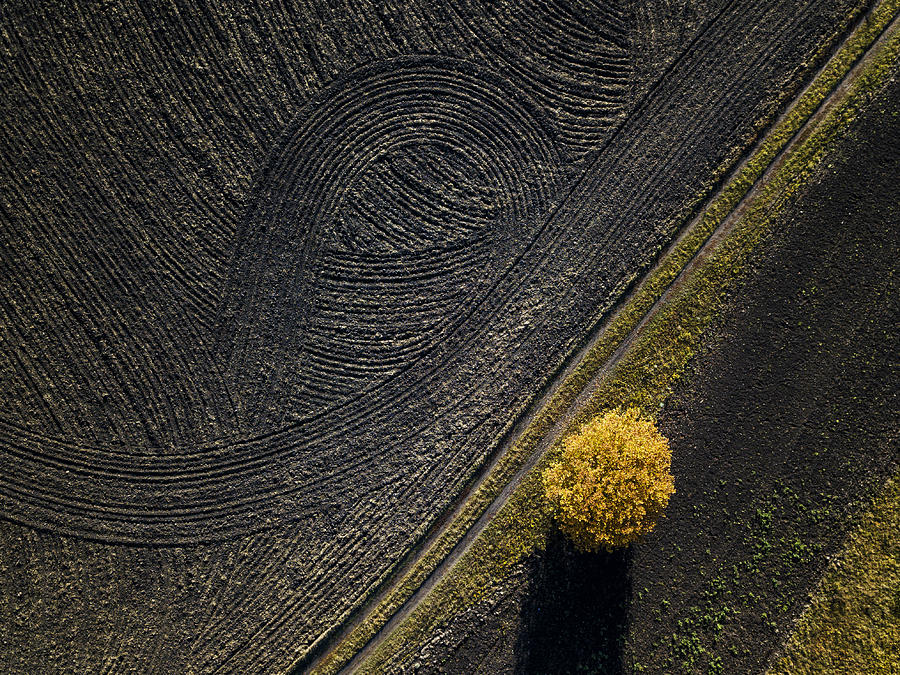 Fall Photograph - Russian Field by Alexey Kharitonov