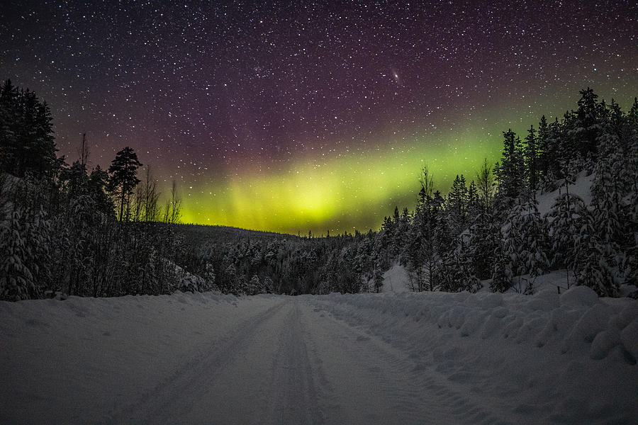 Russian Northern Lights Photograph by Jonathan Elihis