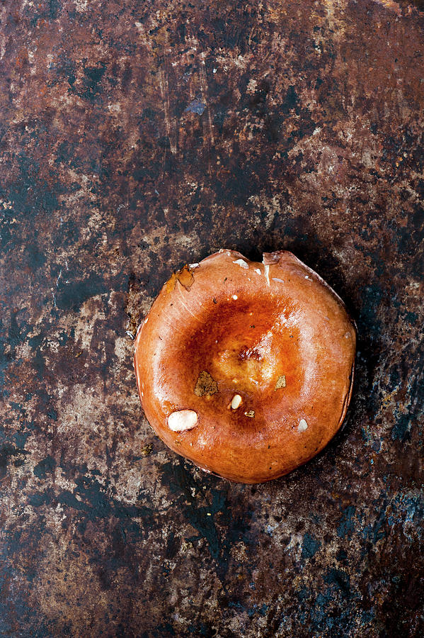 Russula Aurea- Wild Mushroom Photograph by Gabriela Lupu
