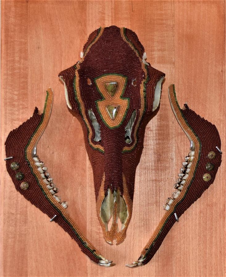 Animal Mixed Media - Rust Antelope Skull by Charla Van Vlack
