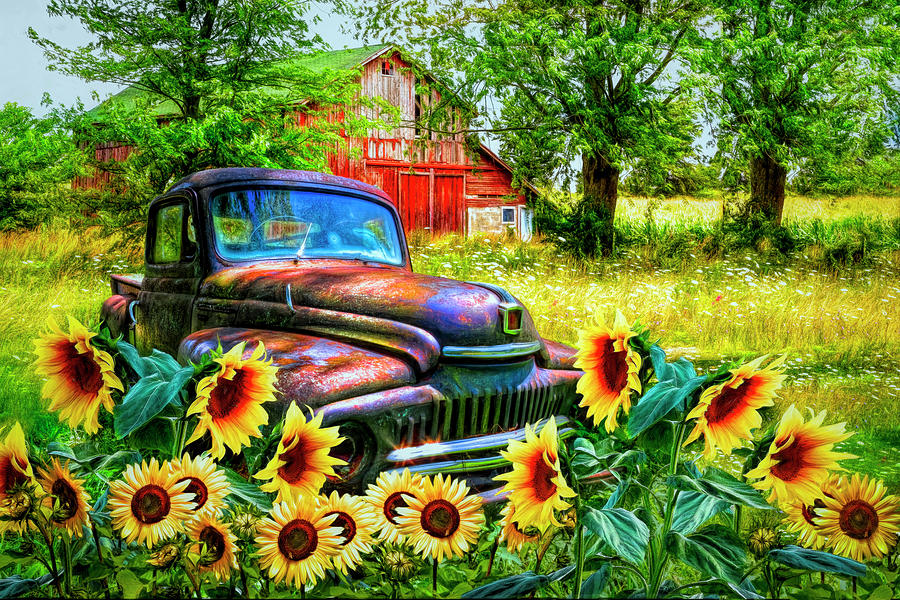 Rust in the Sunflowers Photograph by Debra and Dave Vanderlaan