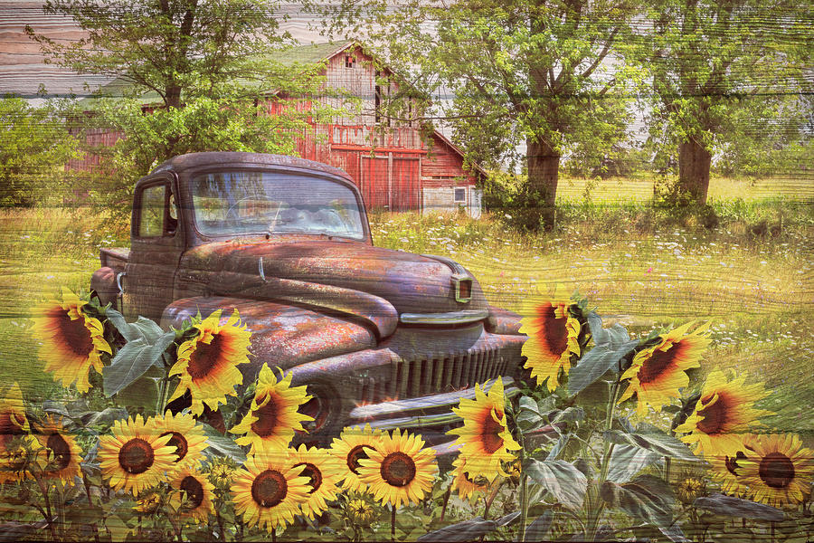 Rust in the Sunflowers in Wood Textures Photograph by Debra and Dave Vanderlaan