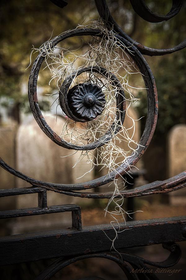 Cemetery Gate Photograph - Rusted Cemetery Gate with Spanish Moss by Melissa Bittinger