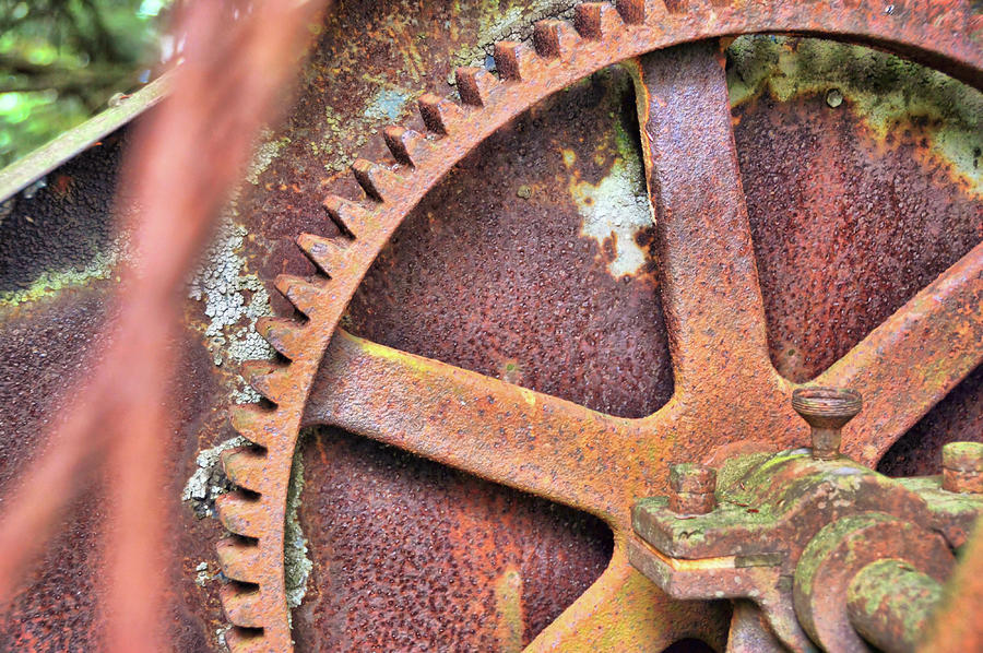 Rusted Cog Photograph by JAMART Photography