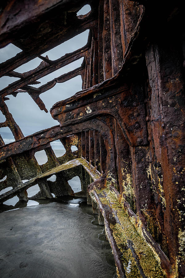 Rusted Photograph by David Barile