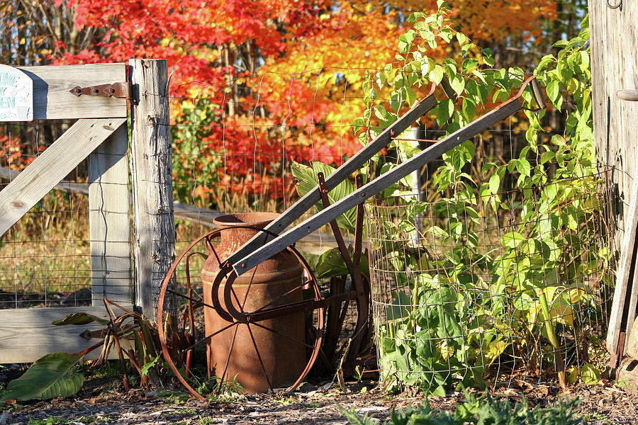 Rusted Garden Photograph by Brook Burling