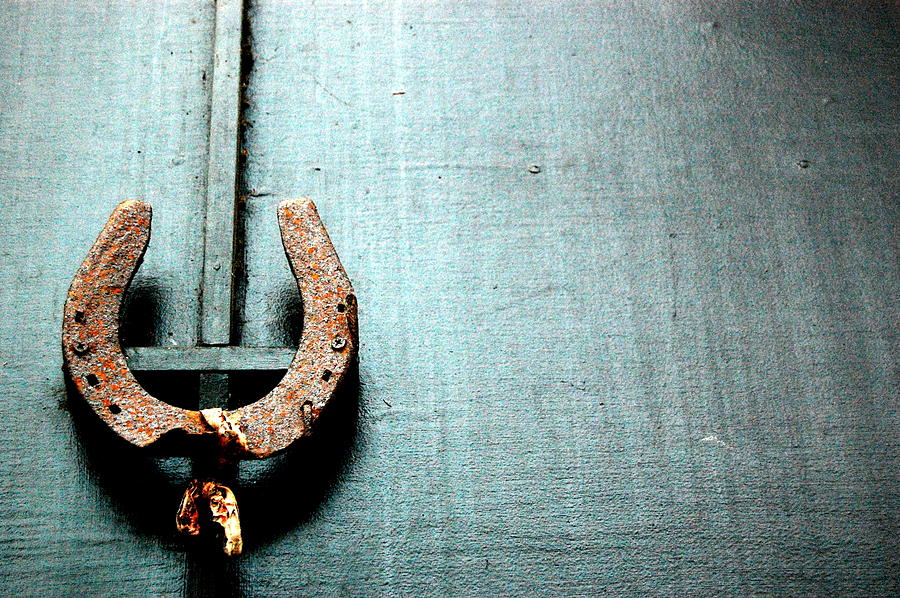 Rusted Horseshoe Photograph by A.t. I Images