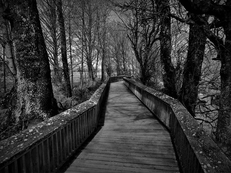 Rustic Black White Path Photograph by Jenna Monroe - Fine Art America