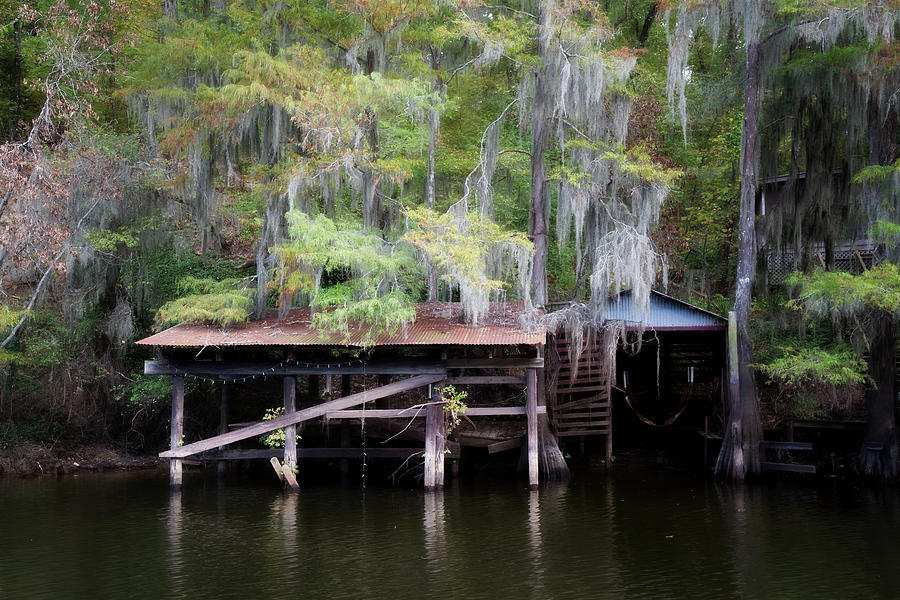 Tree Photograph - Rustic Boat Dock by Lana Trussell