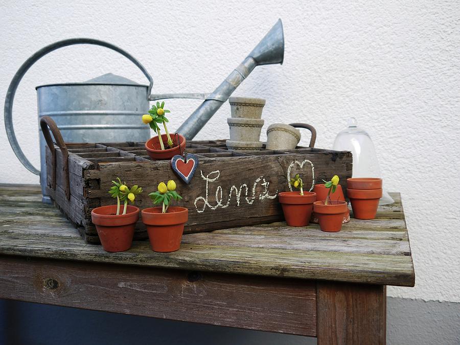 Rustic Crate With Small Flowerpots Photograph by Erika Reetz