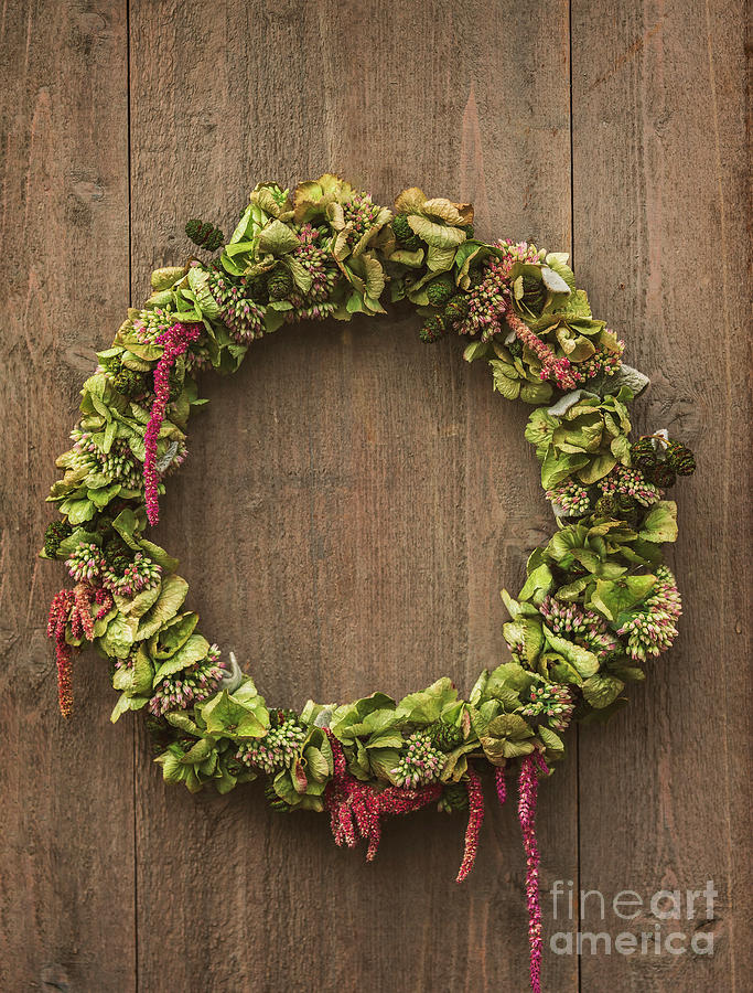 Rustic decorative wreath Photograph by Sophie McAulay