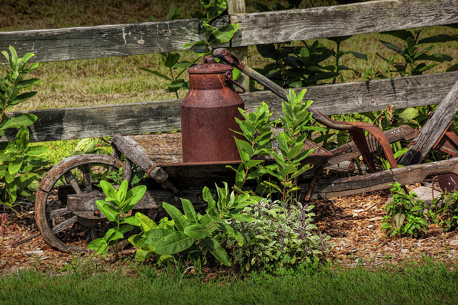 Rustic Garden Tools by an Old Wooden Fence Photograph by Randall Nyhof