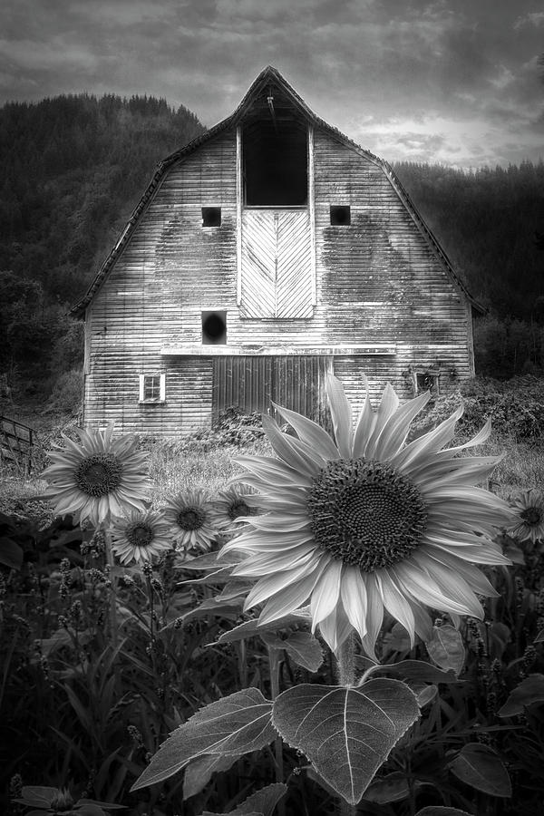 Rustic in Black and White Photograph by Debra and Dave Vanderlaan