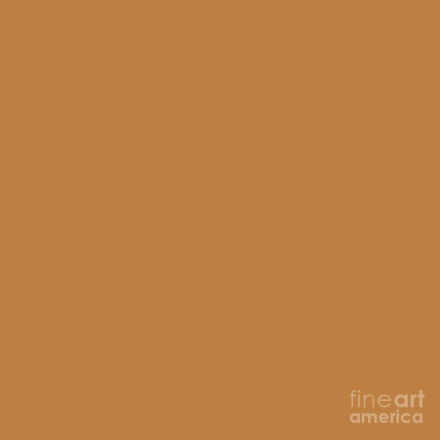 Rustic Orange by Delynn Addams for Interior Home Decor Digital Art by Delynn Addams