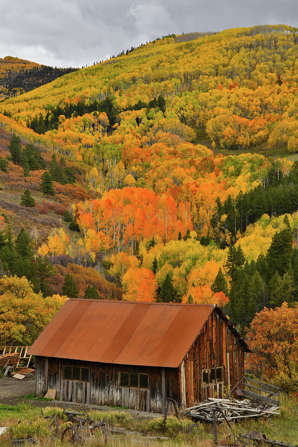 Rustic Ranch and Fall Colors along Last Dollar Road Photograph by Ray Mathis