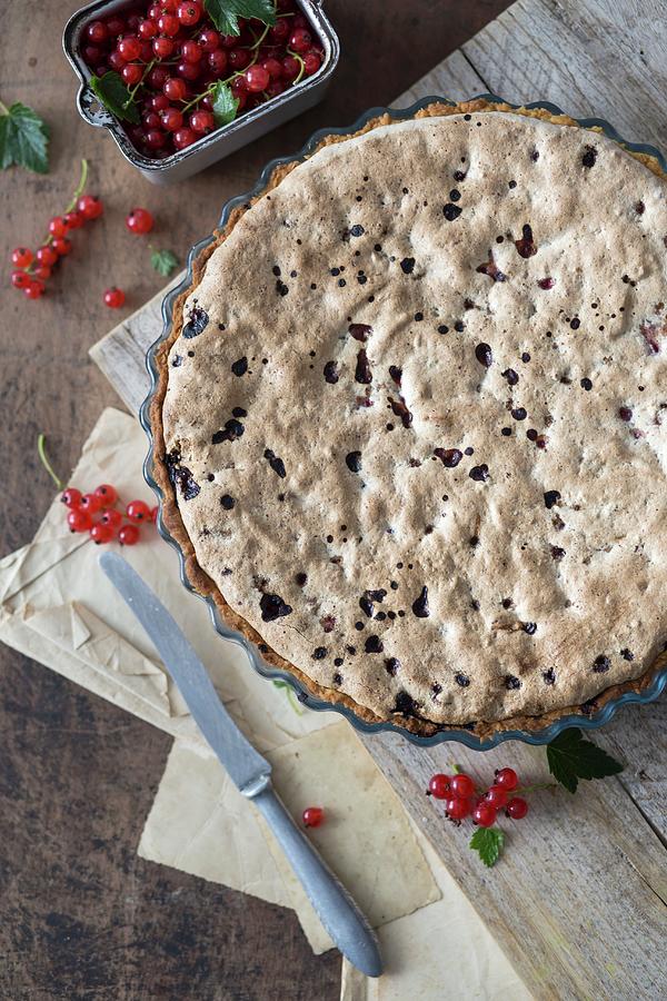 Rustic Red Currant Tart seen From Above Photograph by Malgorzata Laniak