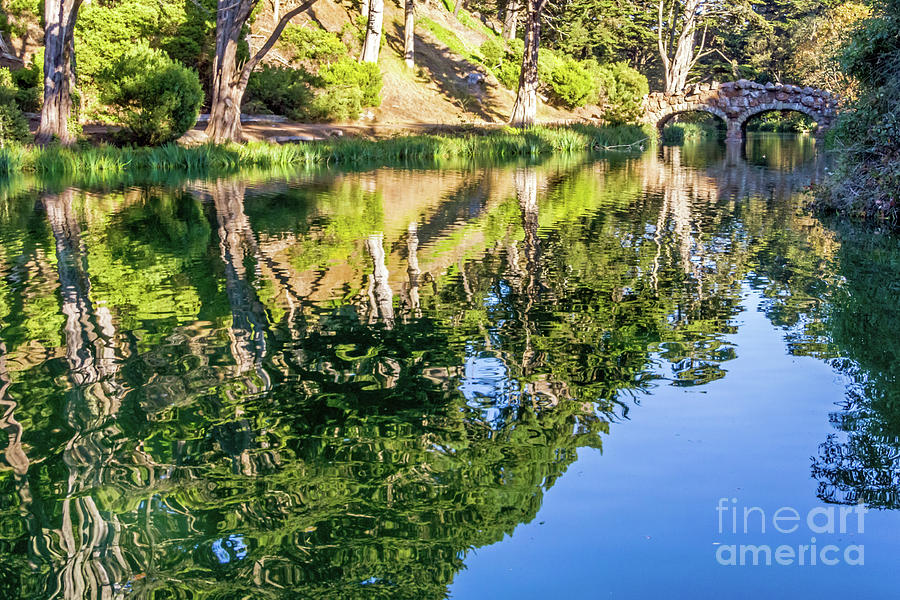 Rustic Reflections Photograph by Kate Brown