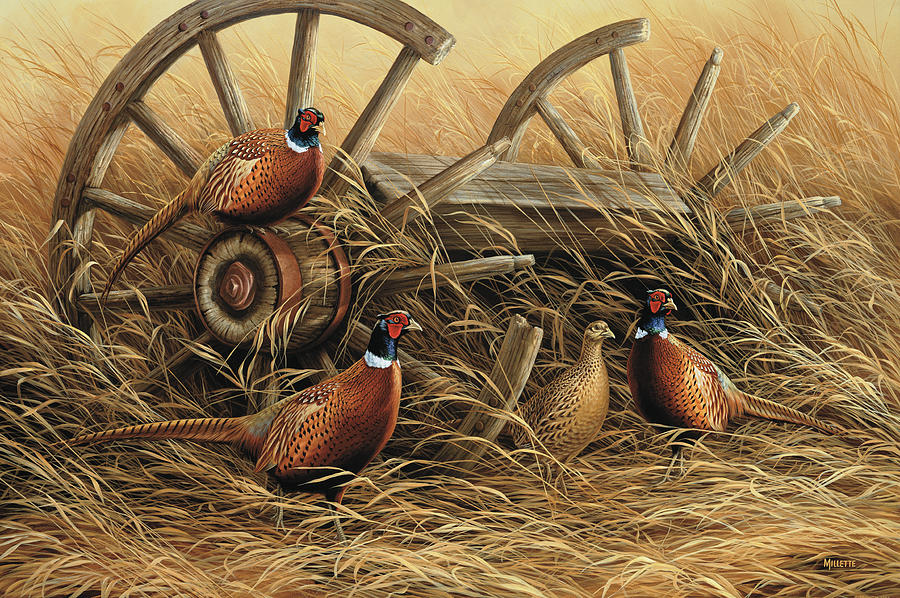 Pheasant Painting - Rustic Retreat by Wild Wings