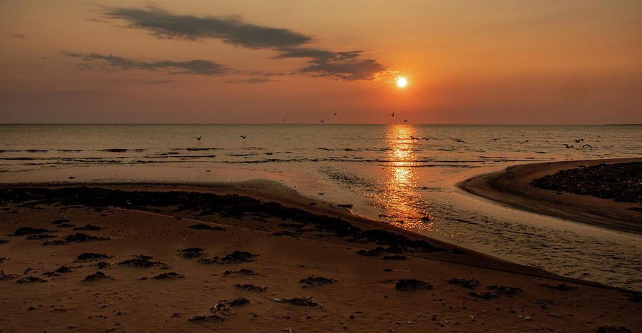 Rustico Beach Sunrise Photograph by Marcy Wielfaert