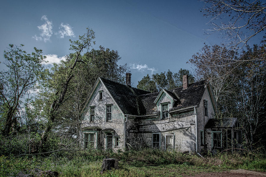 Rustico Road Abandoned House Painterly Photograph by Douglas Wielfaert