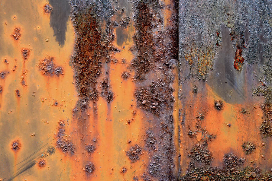 Rusting door 03 Photograph by David Brown - Fine Art America