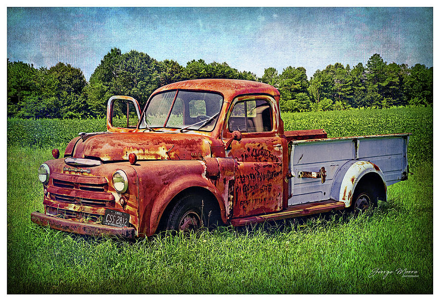 Rusting Away Photograph by George Moore - Fine Art America