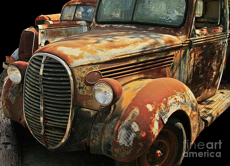 Rusty 15 Photograph by Tom Griffithe