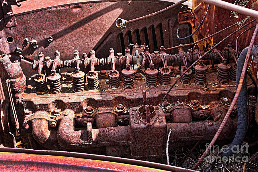 Rusty 18 Photograph by Tom Griffithe