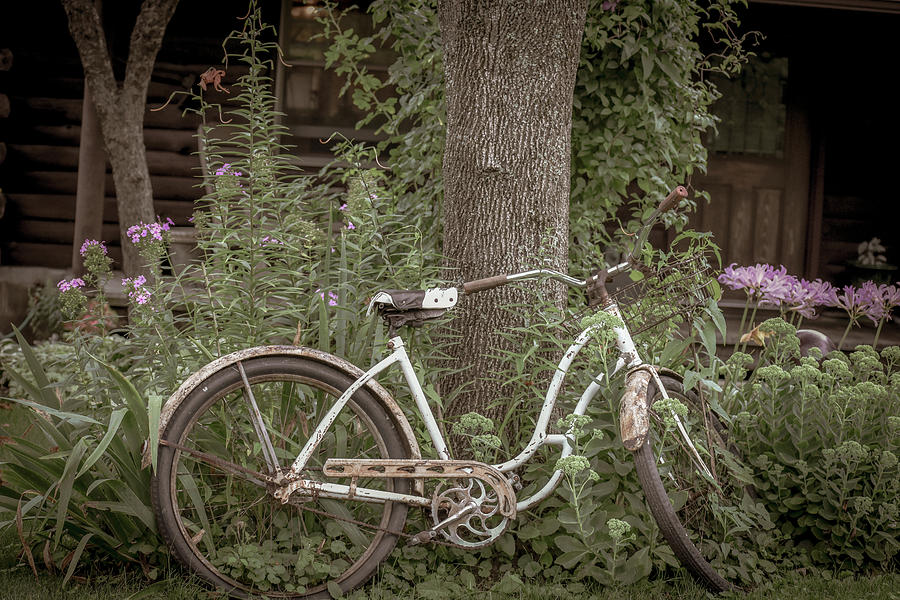 Rusty Bike Photograph by Michelle Wittensoldner