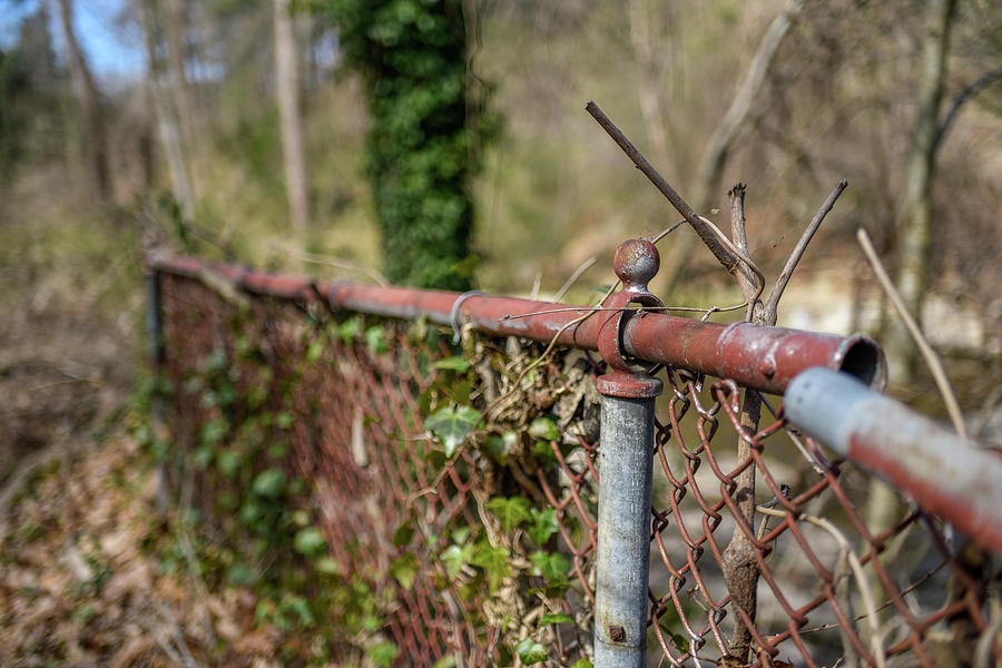 Rusty Broken Fence Photograph by Doug Ash