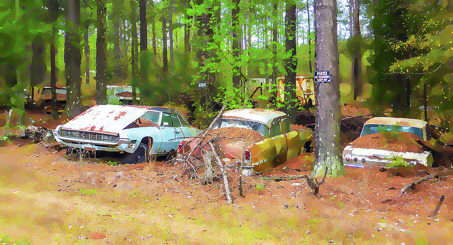 Rusty Cars 2 Photograph by Jeelan Clark