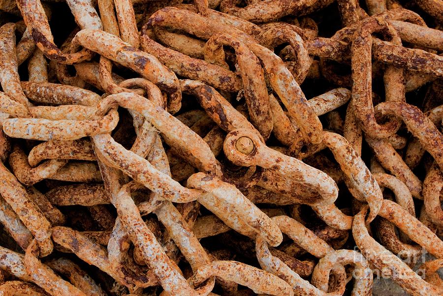 Rusty Chains Photograph by Mark Williamson/science Photo Library