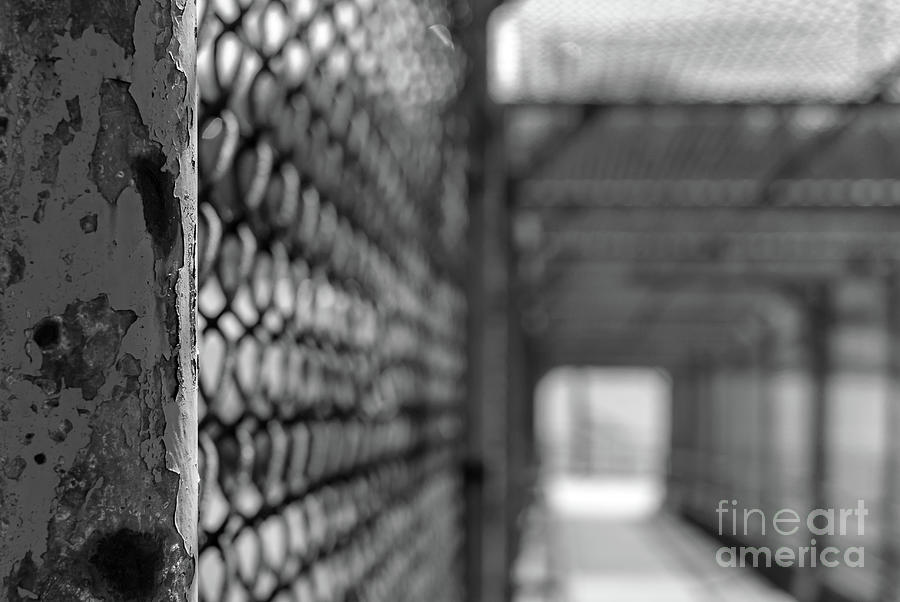 Rusty Grey by Len Tauro Rusty Grey by Len Tauro