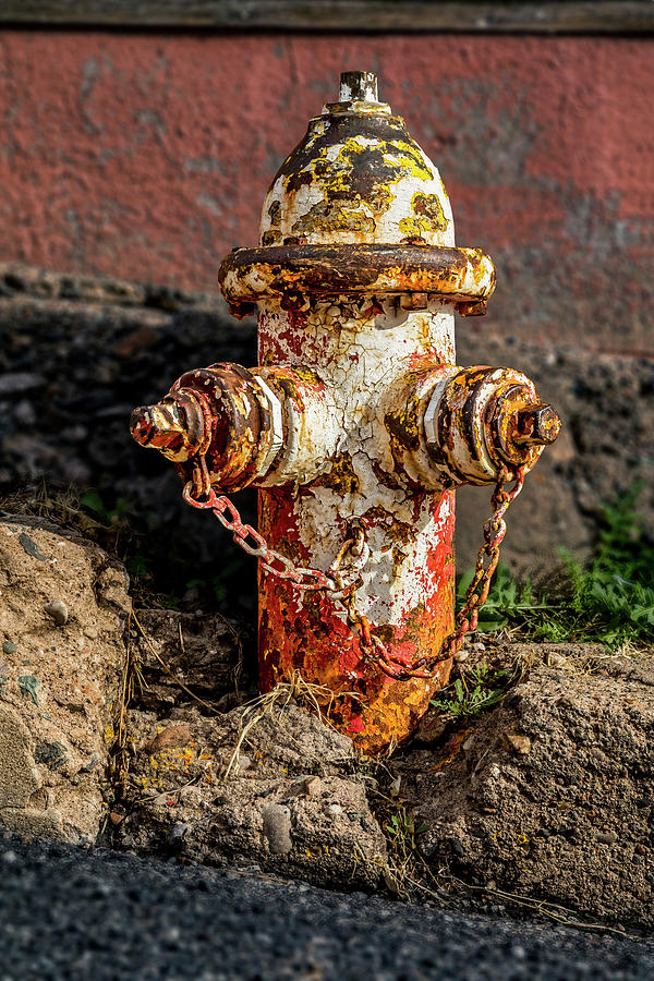 Rusty Hydrant Photograph by Kelley King