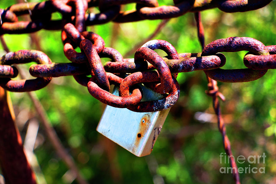 Rusty Lock and Chain Photograph by Rebecca Davis