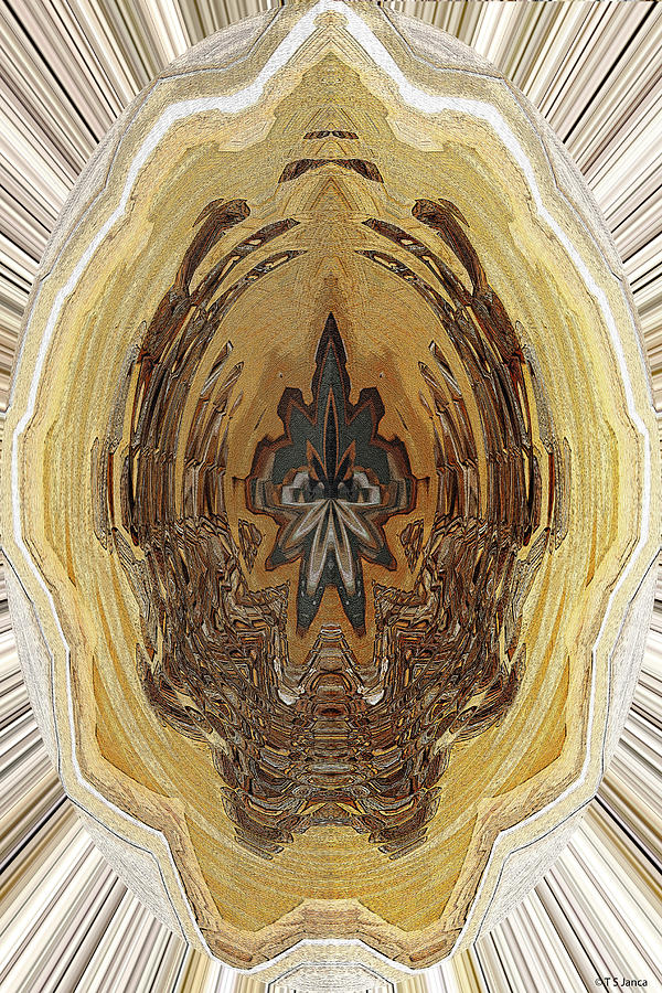 Rusty Nuts Abstract 0362w2 Digital Art by Tom Janca