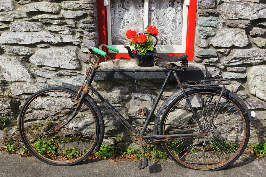 Rusty Old Bicycle And Flowers In Kettle Photograph by Ken Welsh / Design Pics