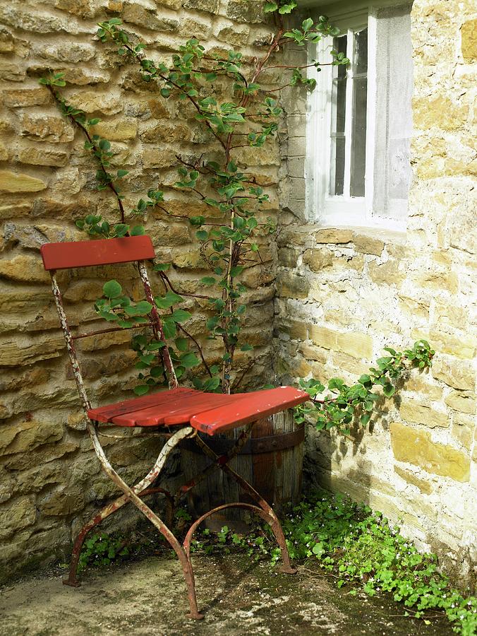 Rusty, Old Chair Next To Wall In Corner Of Garden Photograph by Jo Tyler