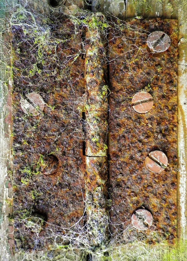Rusty Old Door Hinge With Cobwebs Photograph by Richard Brookes