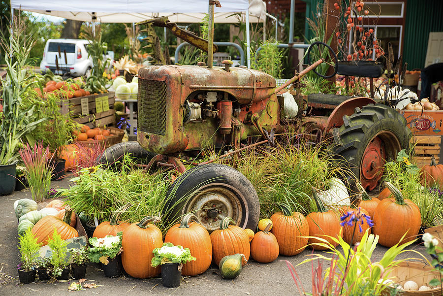 Rusty Old Tractor with Pumpkins Photograph by Tom Cochran