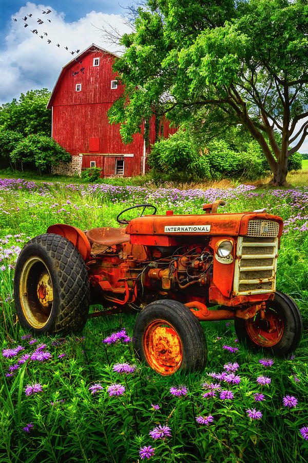 Rusty Red Tractor Photograph by Debra and Dave Vanderlaan