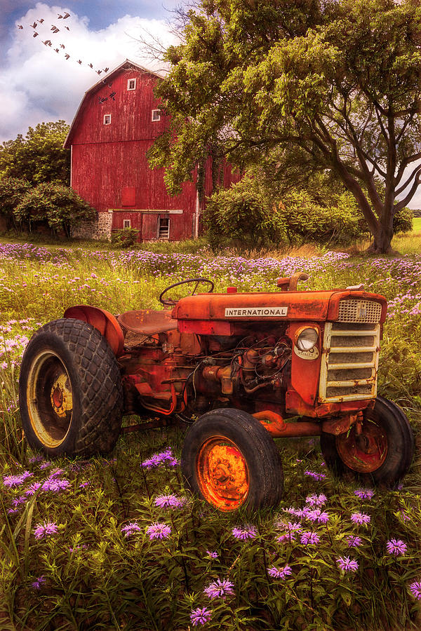 Rusty Red Tractor in Autumn Photograph by Debra and Dave Vanderlaan