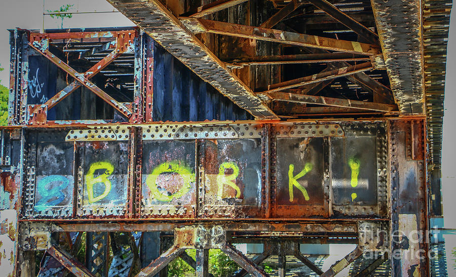 Rusty Steel Graffiti Photograph by Tom Claud