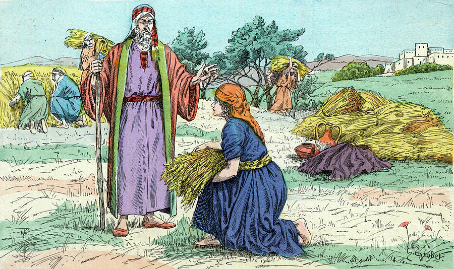 Bible Stories- Illustration Of Ruth Working In Boaz Barley