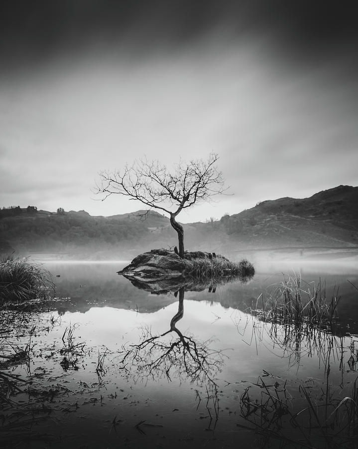 Rydal Water In The Mist Photograph by Philip Durkin DPAGB BPE